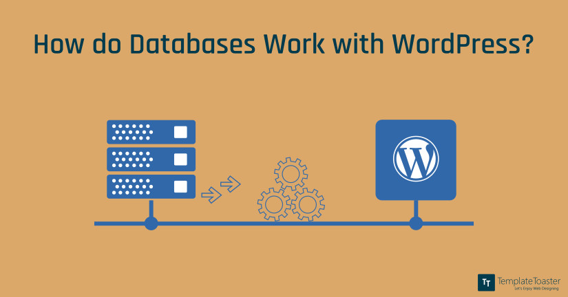How do Databases Work with WordPress