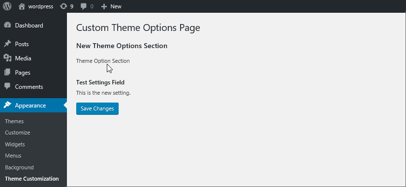 adding field to sections wordpress settings api theme options