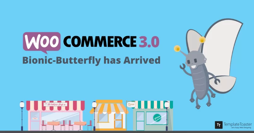 WooCommerce 3.0 Update! Bionic-Butterfly has Arrived Blog image