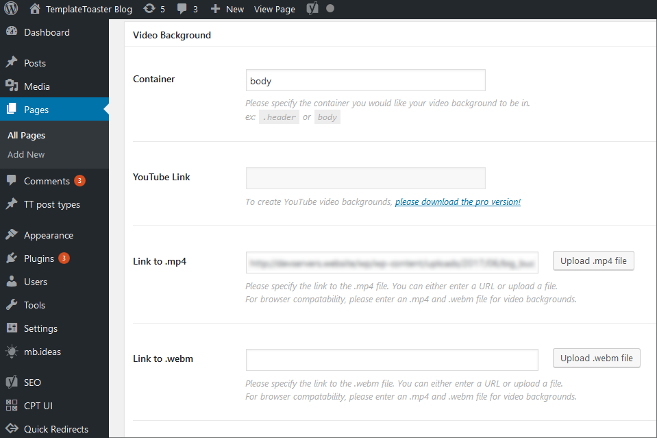 video-options screenshot WordPress Video Background Plugin