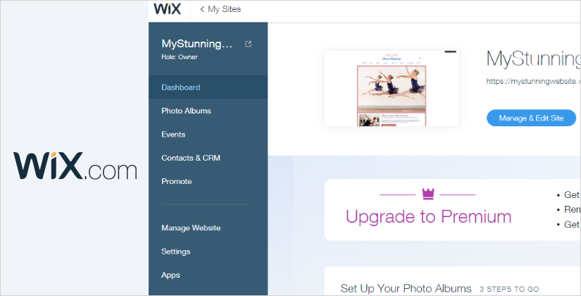 wix store examples