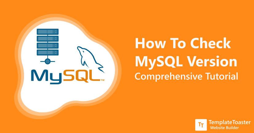 Mysql check database version