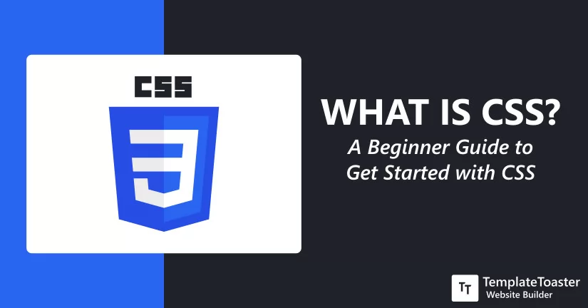 What is CSS