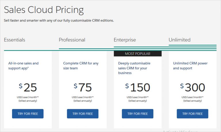 salesforce pricing for small business