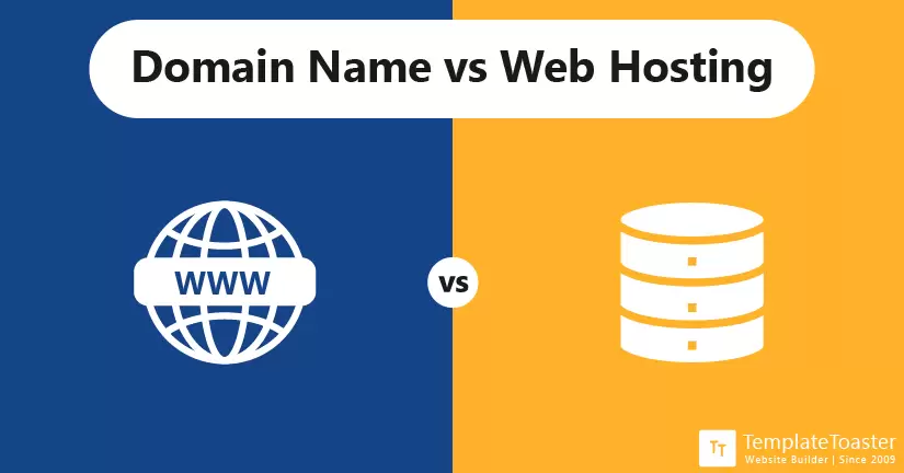 domain name vs website hosting