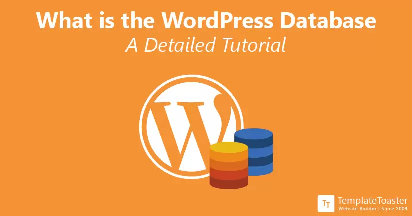 What is the WordPress Database A Detailed Tutorial