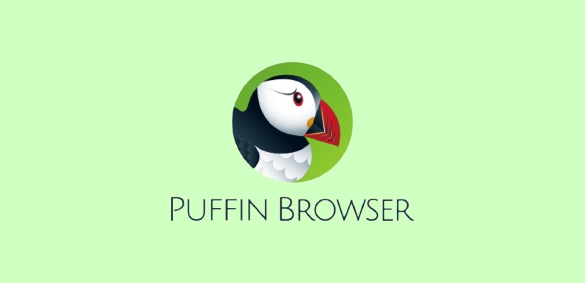 Puffin Browser