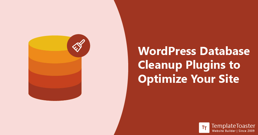 WordPress Database Cleanup Plugins to Optimize Your Site