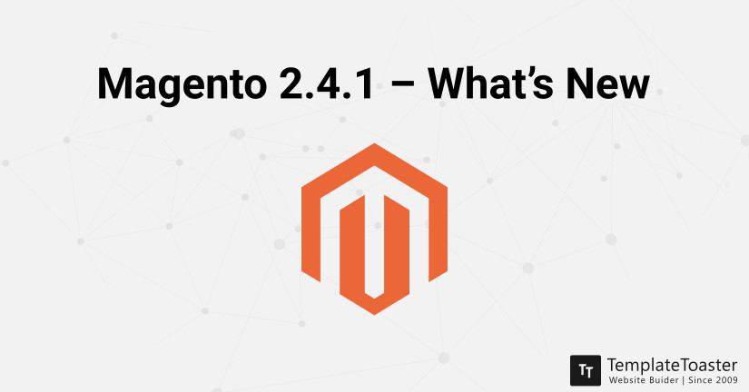 magento 2.4.1